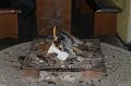 IMG_1349